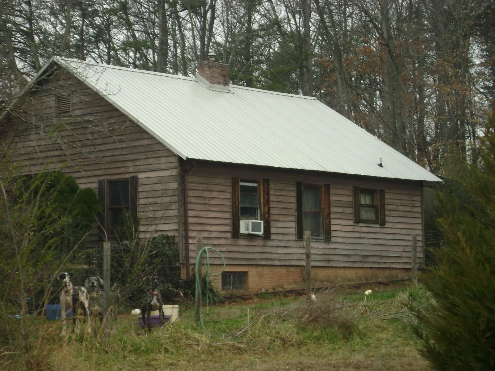 White metal roof on an old wood sided farmhouse in Munster